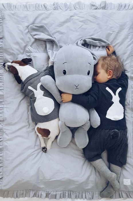 М'яка іграшка для немовлят Effiki колір сірий (2872825) М'яка іграшка для немовлят Effiki колір сірий (2872825)