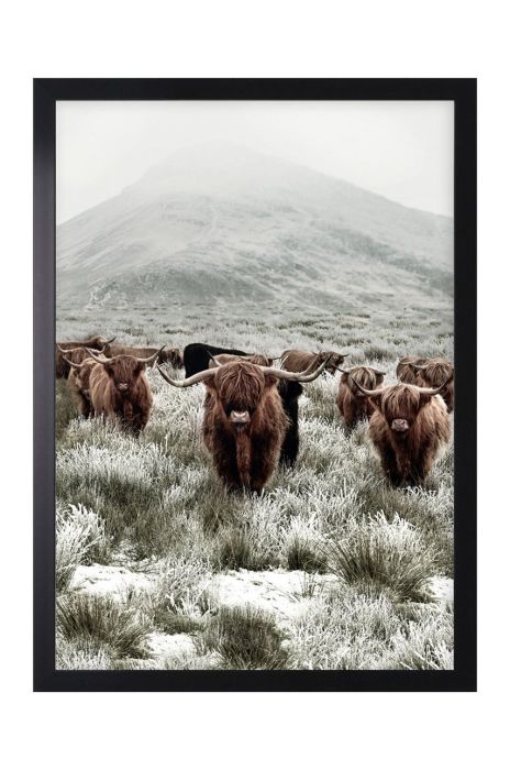 Плакат у рамі колір чорний (3165684) Плакат у рамі колір чорний (3165684)