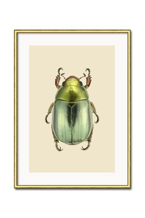 Репродукція на папері в рамці колір барвистий (2648733) Репродукція на папері в рамці колір барвистий (2648733)