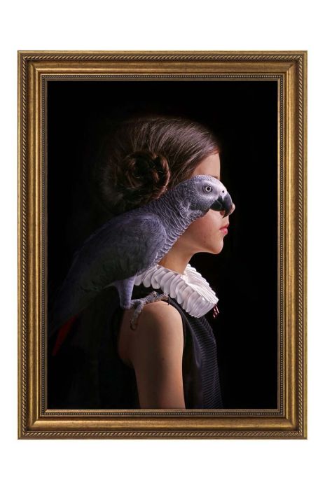 Репродукція на папері в рамці 50x70 см колір барвистий (2918576) Репродукція на папері в рамці 50x70 см колір барвистий (2918576)