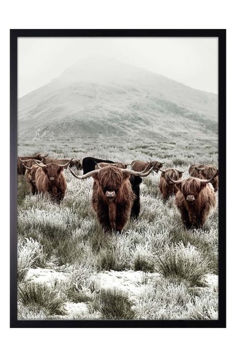 Репродукція на папері в рамці 50x70 см колір барвистий (2918743) Репродукція на папері в рамці 50x70 см колір барвистий (2918743)