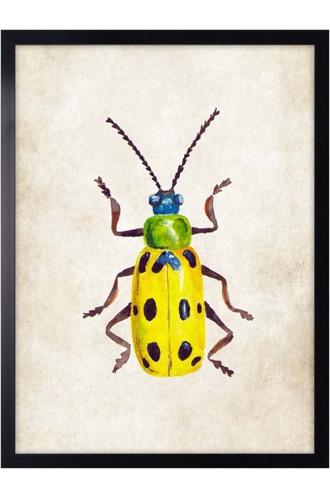 Настінна декорація на папері в рамці 30x40 cm колір барвистий (3252205) Настінна декорація на папері в рамці 30x40 cm колір барвистий (3252205)