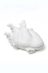 Контейнер з кришкою Seletti Love in Bloom Box колір білий Контейнер з кришкою Seletti Love in Bloom Box колір білий