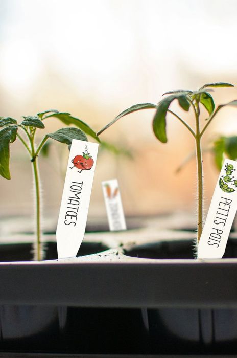 Graine Creative набір DIY ярлики для рослин Crazy Plastic Kit колір барвистий Graine Creative набір DIY ярлики для рослин Crazy Plastic Kit колір барвистий