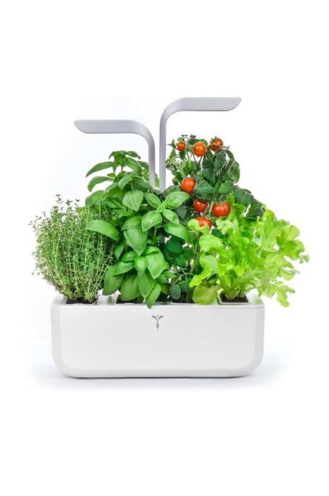 Автономний домашній сад Veritable колір сірий Автономний домашній сад Veritable колір сірий