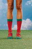 Шкарпетки Eat My Socks Fresh Watermelon колір барвистий