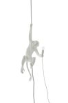 Підвісна лампа Seletti The Monkey Lamp Ceiling колір білий
