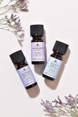 Aroma Home Favourites Essential Oil Blends 3-pack колір барвистий