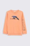 Дитячий бавовняний лонгслів Coccodrillo колір помаранчевий з принтом (3488609) Дитячий бавовняний лонгслів Coccodrillo колір помаранчевий з принтом (3488609)