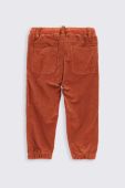 Дитячі спортивні штани Coccodrillo колір коричневий однотонні (3584895) Дитячі спортивні штани Coccodrillo колір коричневий однотонні (3584895)