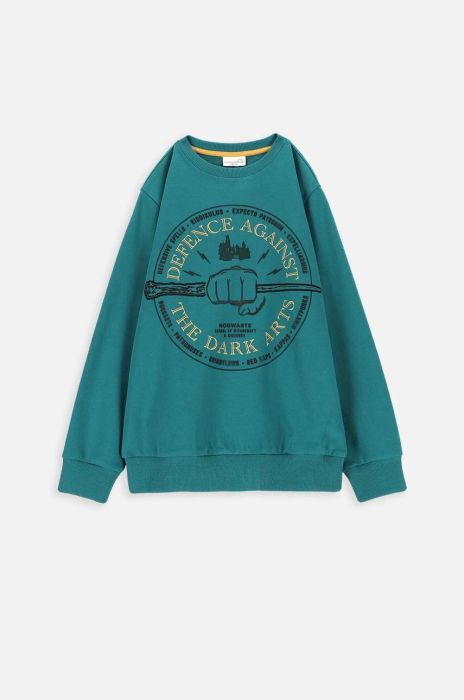 Дитяча бавовняна кофта Coccodrillo колір зелений з принтом (3585024) Дитяча бавовняна кофта Coccodrillo колір зелений з принтом (3585024)