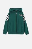 Дитяча бавовняна кофта Coccodrillo колір зелений з капюшоном з принтом (3621227)