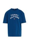 Дитяча бавовняна футболка Tommy Hilfiger з принтом колір блакитний (3527647) Дитяча бавовняна футболка Tommy Hilfiger з принтом колір блакитний (3527647)