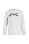 Дитячий бавовняний лонгслів Tommy Hilfiger колір сірий з принтом (3485529) Дитячий бавовняний лонгслів Tommy Hilfiger колір сірий з принтом (3485529)