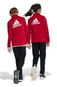 Дитячий спортивний костюм adidas колір червоний (3625141) Дитячий спортивний костюм adidas колір червоний (3625141)