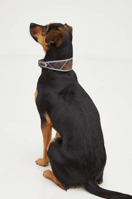 Нашийник для улюбленця Barbour колір барвистий (3621524) Нашийник для улюбленця Barbour колір барвистий (3621524)