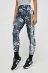 Легінси adidas Originals жіночі колір чорний з аплікацією (3629950) Легінси adidas Originals жіночі колір чорний з аплікацією (3629950)