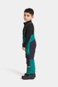Дитячі лижні штани Didriksons IDRE KIDS PANTS колір зелений