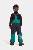 Дитячі лижні штани Didriksons IDRE KIDS PANTS колір зелений