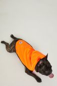 Medicine Куртка для собаки Comfort Traveller колір помаранчевий (2128270) Medicine Куртка для собаки Comfort Traveller колір помаранчевий (2128270)