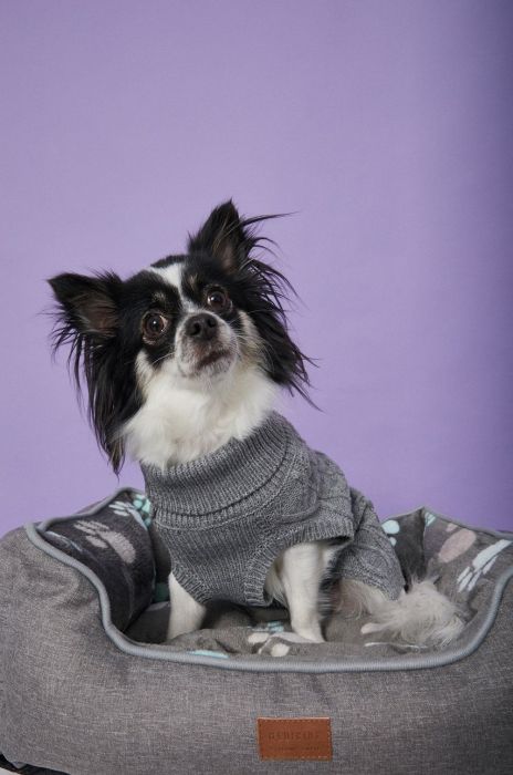 Medicine - Лежак для домашніх тварин Essential колір сірий (1914265) Medicine - Лежак для домашніх тварин Essential колір сірий (1914265)