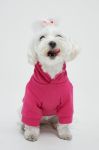 Medicine Кофта для домашнього улюбленця Essential колір рожевий (2753575)