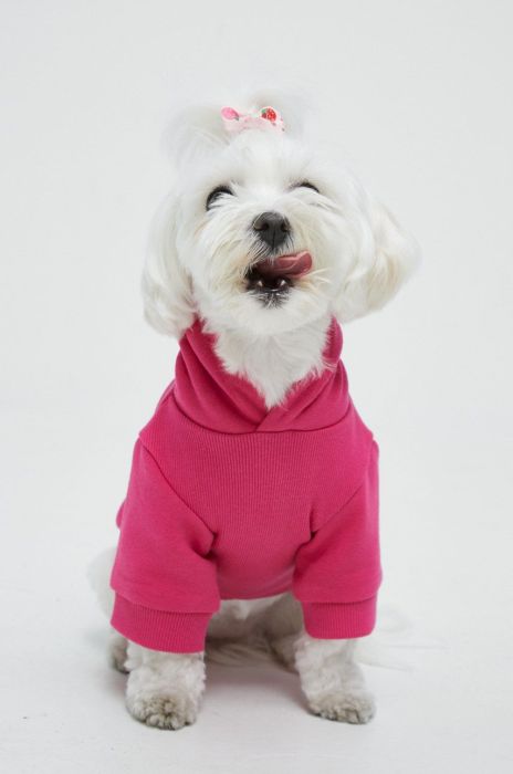 Medicine Кофта для домашнього улюбленця Essential колір рожевий (2753575)