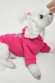 Medicine Кофта для домашнього улюбленця Essential колір рожевий (2753575)
