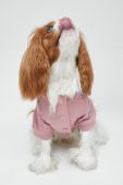 Medicine Кофта для домашнього улюбленця Psoty колір рожевий (2725974) Medicine Кофта для домашнього улюбленця Psoty колір рожевий (2725974)