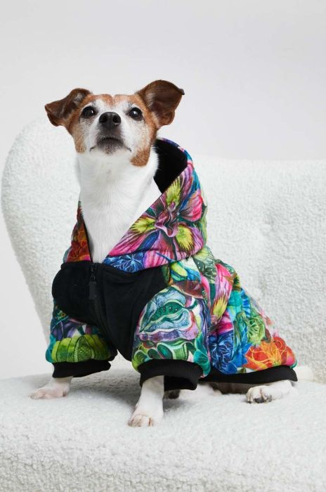 Кофта для домашнього улюбленця Medicine колір барвистий (2880389) Кофта для домашнього улюбленця Medicine колір барвистий (2880389)