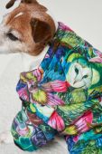 Кофта для домашнього улюбленця Medicine колір барвистий (2880389) Кофта для домашнього улюбленця Medicine колір барвистий (2880389)