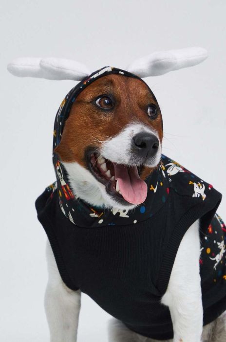 Кофта для домашнього улюбленця Medicine колір чорний (2874673) Кофта для домашнього улюбленця Medicine колір чорний (2874673)