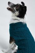 Светр для домашнього улюбленця Medicine колір зелений (2926828) Светр для домашнього улюбленця Medicine колір зелений (2926828)