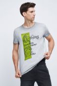 Бавовняна футболка Medicine колір сірий з принтом (2530882) Бавовняна футболка Medicine колір сірий з принтом (2530882)