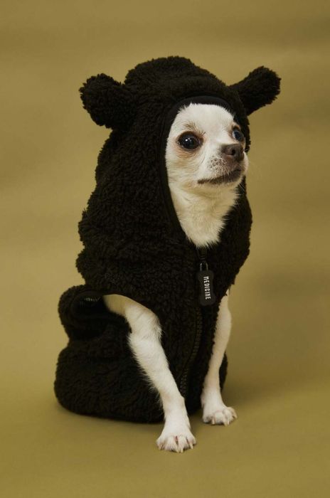 Куртка для собаки Medicine колір чорний (3631925) Куртка для собаки Medicine колір чорний (3631925)