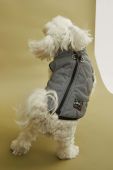 Куртка для собаки Medicine колір срібний (3692254) Куртка для собаки Medicine колір срібний (3692254)