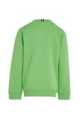 Дитяча кофта Tommy Hilfiger колір зелений з принтом (3043728) Дитяча кофта Tommy Hilfiger колір зелений з принтом (3043728)
