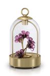 Ліхтарик led Swarovski Garden Tales колір прозорий Ліхтарик led Swarovski Garden Tales колір прозорий