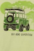 Дитяча бавовняна футболка Mayoral колір зелений з принтом (2932416)