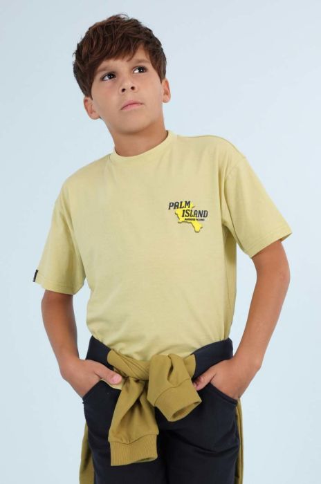 Дитяча бавовняна футболка Mayoral колір зелений з принтом (2940718) Дитяча бавовняна футболка Mayoral колір зелений з принтом (2940718)